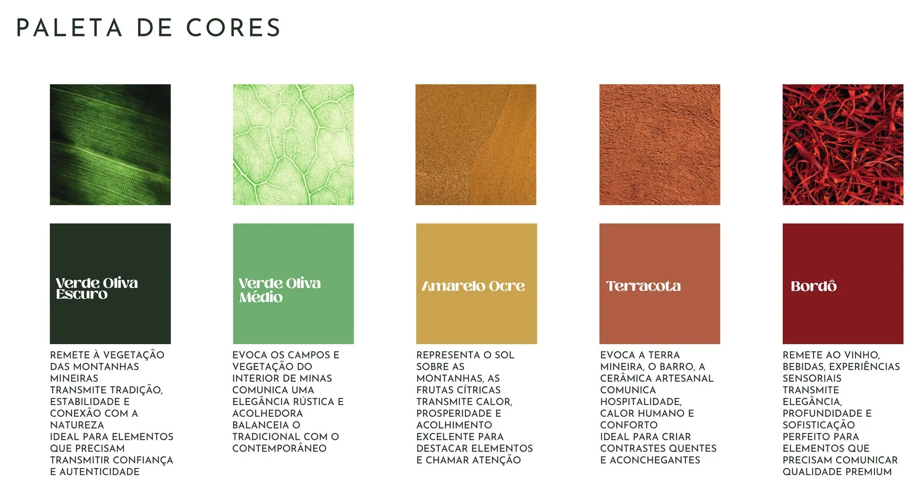 Paleta de cores Cangote com referências de textura