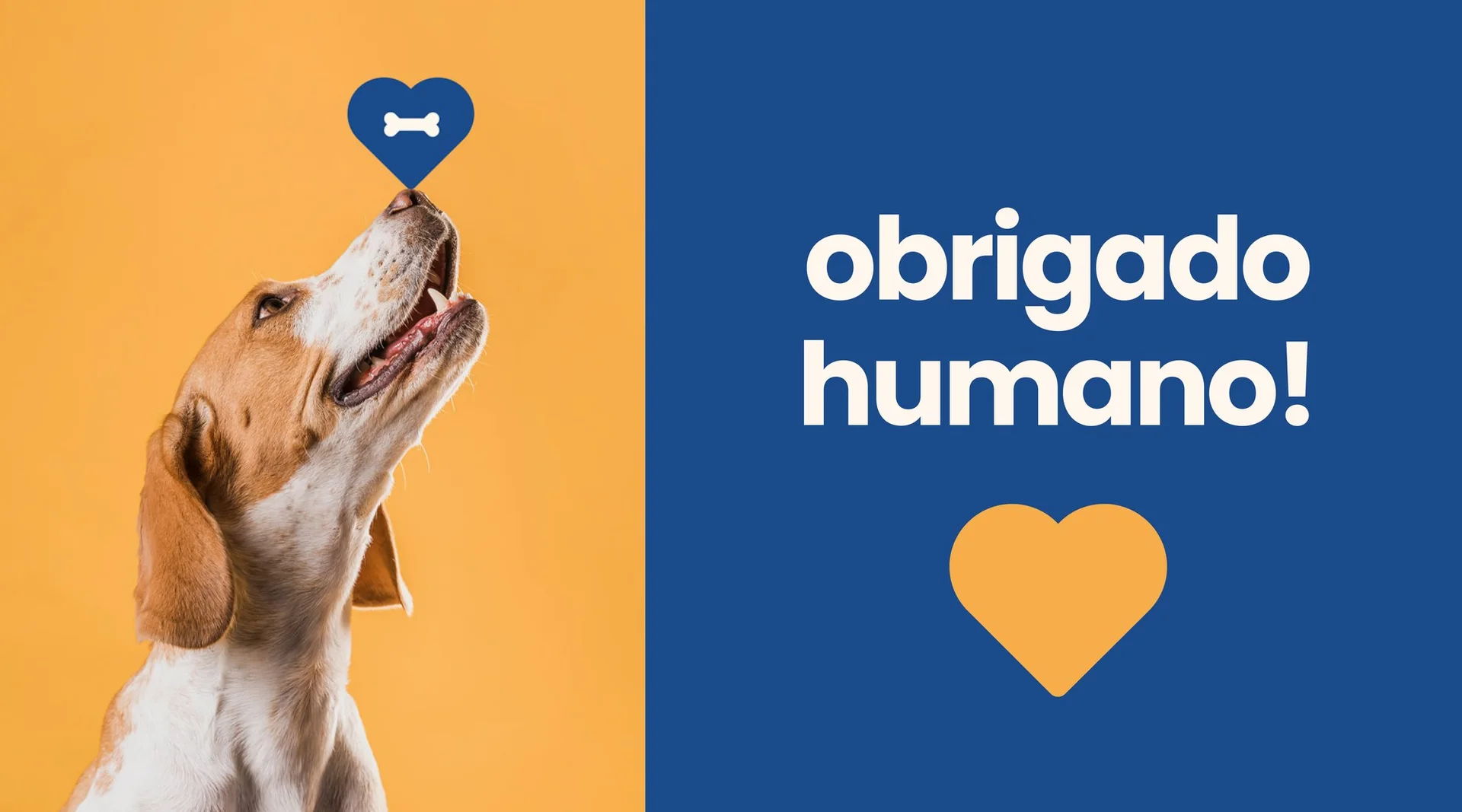 Cantinho do Animal — obrigado humano